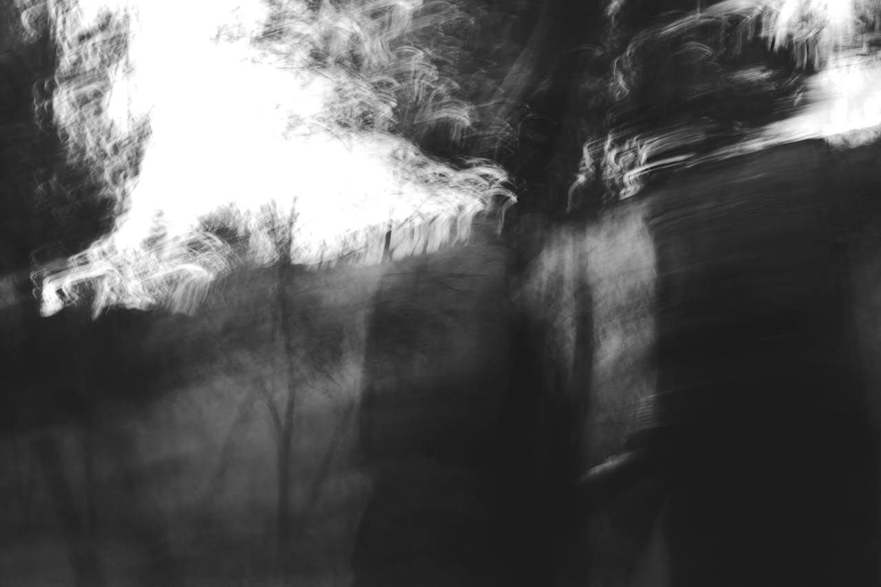 Dreamy black and white abstract photo with blurred trees, creating a mystical forest ambiance.